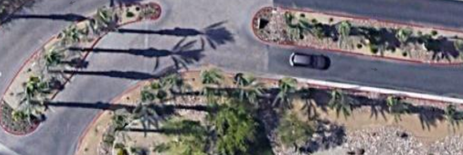 Example screenshot of palms