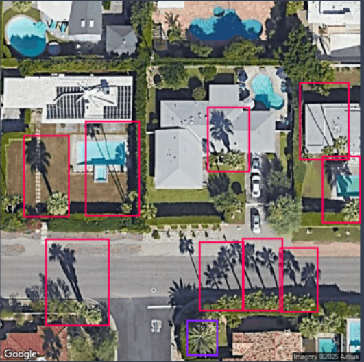 Multiple palms was difficult to deal with